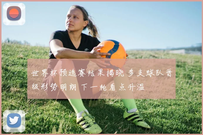世界杯预选赛结果揭晓 多支球队晋级形势明朗 下一轮看点升温