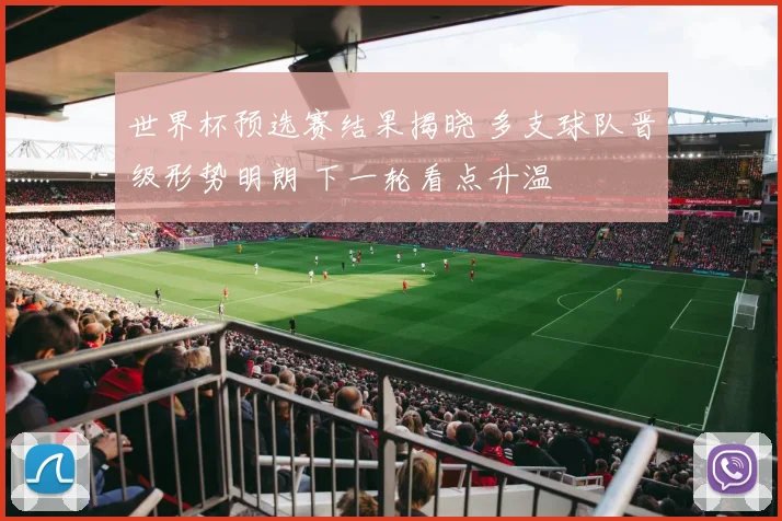 世界杯预选赛结果揭晓 多支球队晋级形势明朗 下一轮看点升温