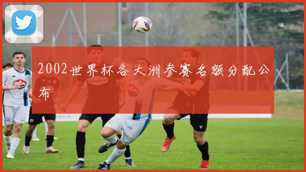 2002世界杯各大洲参赛名额分配公布