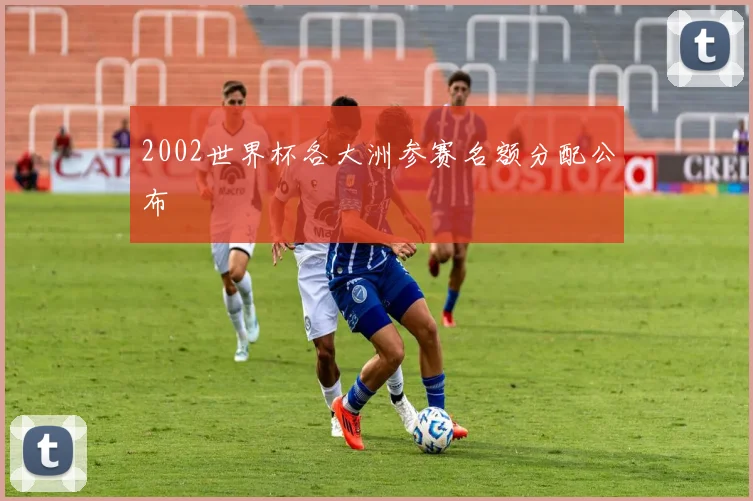 2002世界杯各大洲参赛名额分配公布