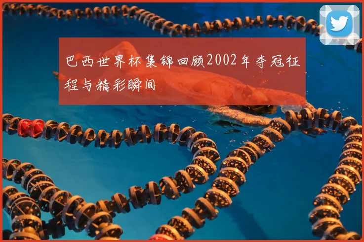 巴西世界杯集锦回顾2002年夺冠征程与精彩瞬间